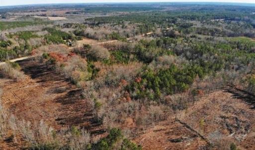 Photo of SOLD!  17 Acres of Hunting Land For Sale in Warren County NC!