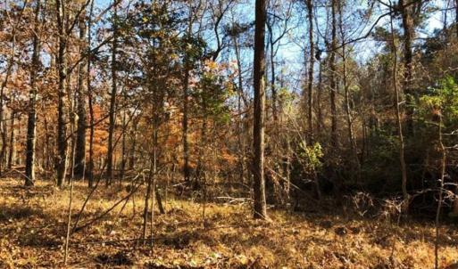 Photo of 10 Acres of Residential Land For Sale in Chowan County NC!