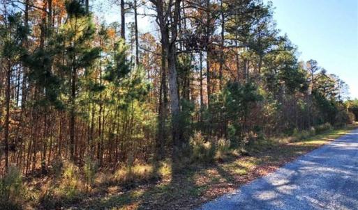 Photo of 10 Acres of Residential Land For Sale in Chowan County NC!