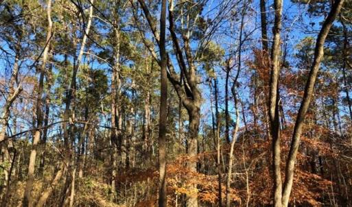 Photo of 10 Acres of Residential Land For Sale in Chowan County NC!