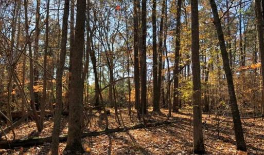 Photo of 10 Acres of Residential Land For Sale in Chowan County NC!