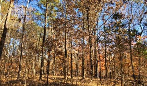 Photo of 10 Acres of Residential Land For Sale in Chowan County NC!
