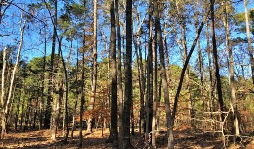 Photo of 10 Acres of Residential Land For Sale in Chowan County NC!