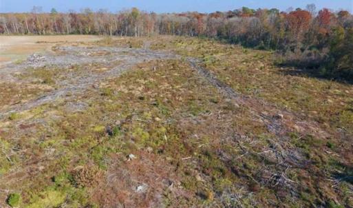 Photo of SOLD!!  18.78 Acres of Farm and Cut Timber Land For Sale in Craven County NC!