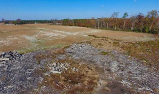 Photo of SOLD!!  18.78 Acres of Farm and Cut Timber Land For Sale in Craven County NC!