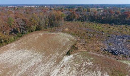 Photo of SOLD!!  18.78 Acres of Farm and Cut Timber Land For Sale in Craven County NC!