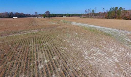 Photo of SOLD!!  18.78 Acres of Farm and Cut Timber Land For Sale in Craven County NC!