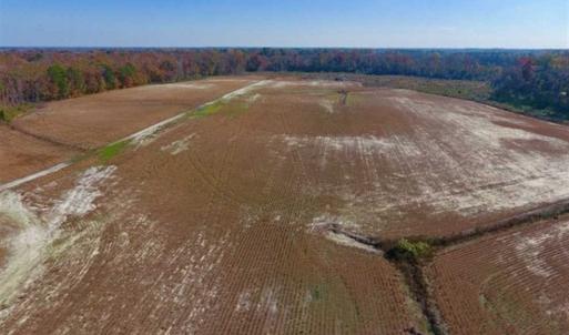 Photo of SOLD!!  18.78 Acres of Farm and Cut Timber Land For Sale in Craven County NC!