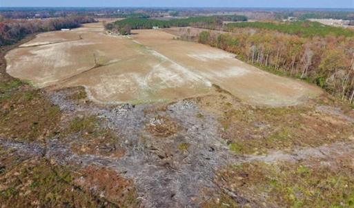 Photo of SOLD!!  18.78 Acres of Farm and Cut Timber Land For Sale in Craven County NC!