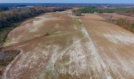 Photo of SOLD!!  18.78 Acres of Farm and Cut Timber Land For Sale in Craven County NC!