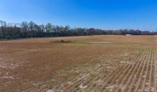 Photo of SOLD!!  18.78 Acres of Farm and Cut Timber Land For Sale in Craven County NC!