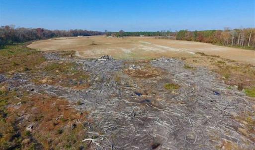 Photo of SOLD!!  18.78 Acres of Farm and Cut Timber Land For Sale in Craven County NC!