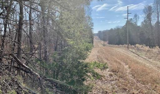Photo of SOLD!!  253 Acres of Farm and Timber Land For Sale in Orange County NC!