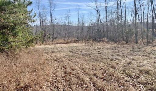 Photo of SOLD!!  253 Acres of Farm and Timber Land For Sale in Orange County NC!