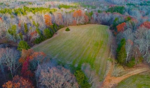 Photo of SOLD!!  253 Acres of Farm and Timber Land For Sale in Orange County NC!