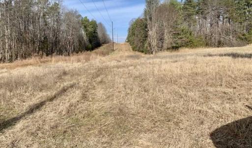 Photo of SOLD!!  253 Acres of Farm and Timber Land For Sale in Orange County NC!