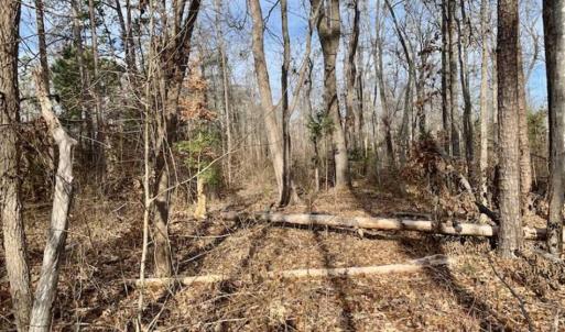 Photo of SOLD!!  253 Acres of Farm and Timber Land For Sale in Orange County NC!
