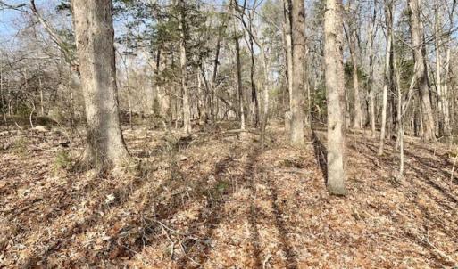 Photo of SOLD!!  253 Acres of Farm and Timber Land For Sale in Orange County NC!