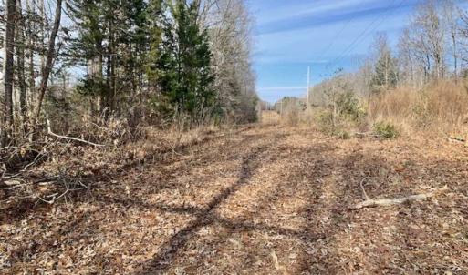 Photo of SOLD!!  253 Acres of Farm and Timber Land For Sale in Orange County NC!