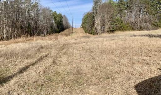 Photo of SOLD!!  253 Acres of Farm and Timber Land For Sale in Orange County NC!