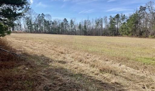 Photo of SOLD!!  253 Acres of Farm and Timber Land For Sale in Orange County NC!