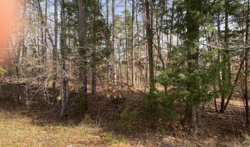 Photo of SOLD!!  253 Acres of Farm and Timber Land For Sale in Orange County NC!