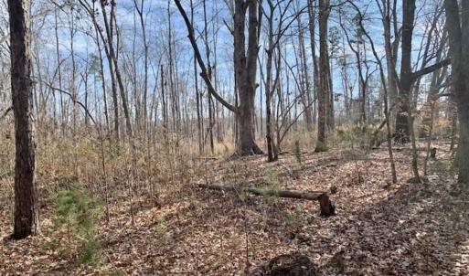 Photo of SOLD!!  253 Acres of Farm and Timber Land For Sale in Orange County NC!