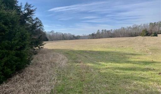Photo of SOLD!!  253 Acres of Farm and Timber Land For Sale in Orange County NC!