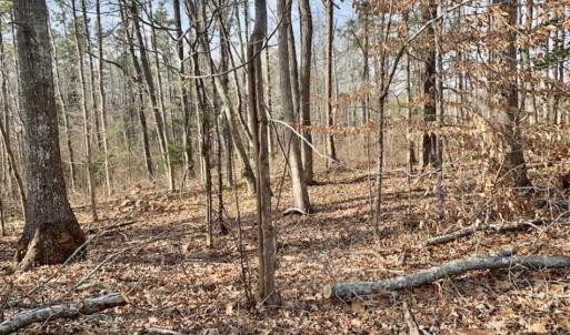 Photo of SOLD!!  253 Acres of Farm and Timber Land For Sale in Orange County NC!