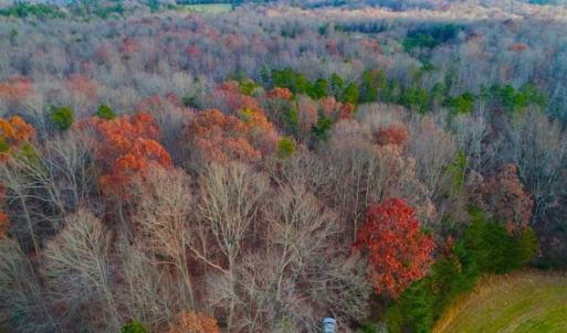 Photo of SOLD!!  253 Acres of Farm and Timber Land For Sale in Orange County NC!