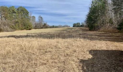 Photo of SOLD!!  253 Acres of Farm and Timber Land For Sale in Orange County NC!