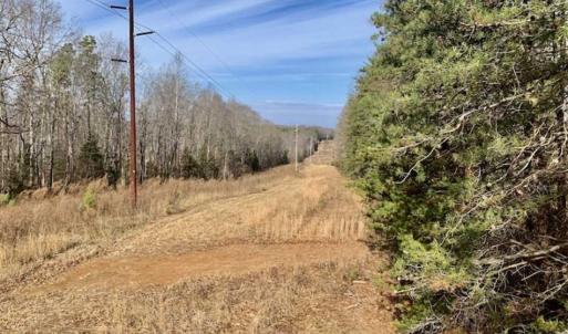 Photo of SOLD!!  253 Acres of Farm and Timber Land For Sale in Orange County NC!