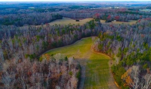 Photo of SOLD!!  253 Acres of Farm and Timber Land For Sale in Orange County NC!