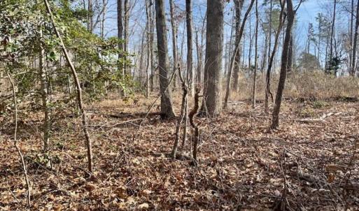 Photo of SOLD!!  253 Acres of Farm and Timber Land For Sale in Orange County NC!