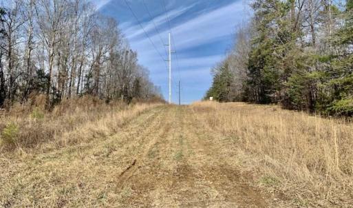 Photo of SOLD!!  253 Acres of Farm and Timber Land For Sale in Orange County NC!