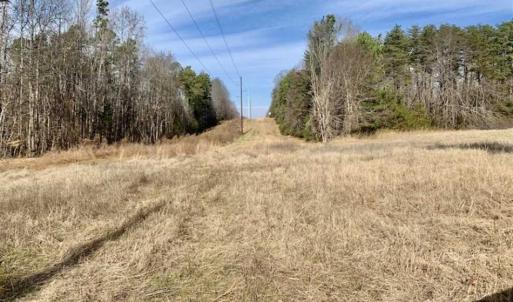 Photo of SOLD!!  253 Acres of Farm and Timber Land For Sale in Orange County NC!