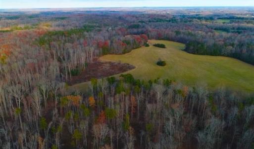 Photo of SOLD!!  253 Acres of Farm and Timber Land For Sale in Orange County NC!