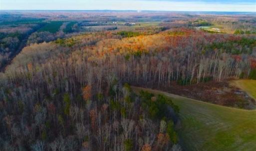 Photo of SOLD!!  253 Acres of Farm and Timber Land For Sale in Orange County NC!