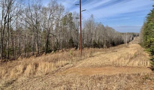 Photo of SOLD!!  253 Acres of Farm and Timber Land For Sale in Orange County NC!