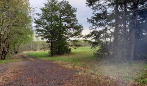 Photo of SOLD!!  39 Acres of Residential Hunting Land For Sale in Halifax County VA!