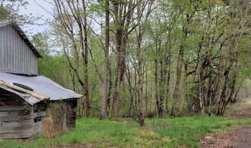 Photo of SOLD!!  39 Acres of Residential Hunting Land For Sale in Halifax County VA!