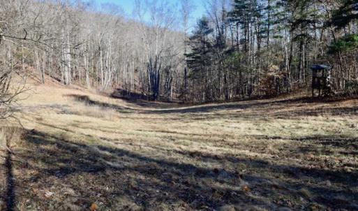 Photo of UNDER CONTRACT!!  68 Acres of Hunting and Recreational Land For Sale in Botetourt Co VA!
