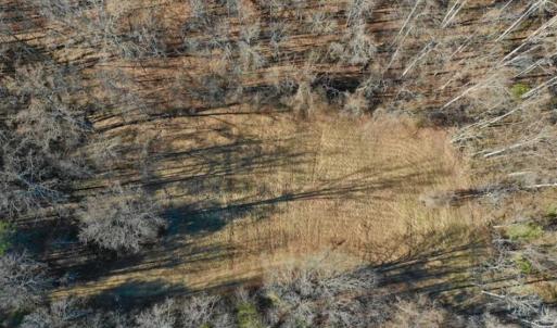 Photo of UNDER CONTRACT!!  68 Acres of Hunting and Recreational Land For Sale in Botetourt Co VA!