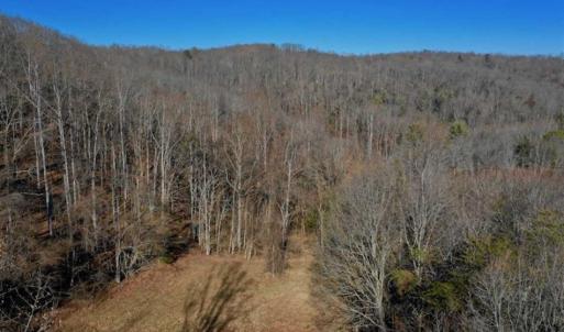 Photo of UNDER CONTRACT!!  68 Acres of Hunting and Recreational Land For Sale in Botetourt Co VA!