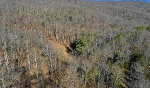Photo of UNDER CONTRACT!!  68 Acres of Hunting and Recreational Land For Sale in Botetourt Co VA!