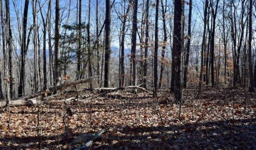 Photo of UNDER CONTRACT!!  68 Acres of Hunting and Recreational Land For Sale in Botetourt Co VA!