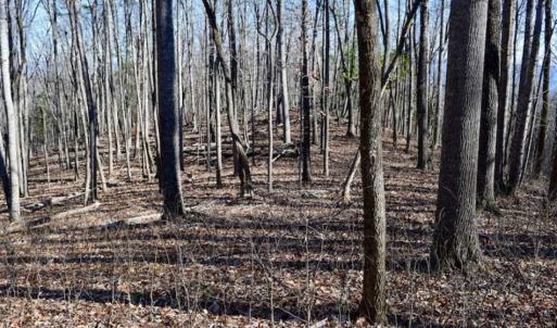 Photo of UNDER CONTRACT!!  68 Acres of Hunting and Recreational Land For Sale in Botetourt Co VA!