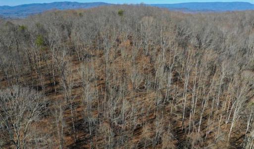 Photo of UNDER CONTRACT!!  68 Acres of Hunting and Recreational Land For Sale in Botetourt Co VA!