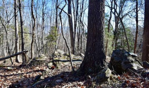 Photo of UNDER CONTRACT!!  68 Acres of Hunting and Recreational Land For Sale in Botetourt Co VA!