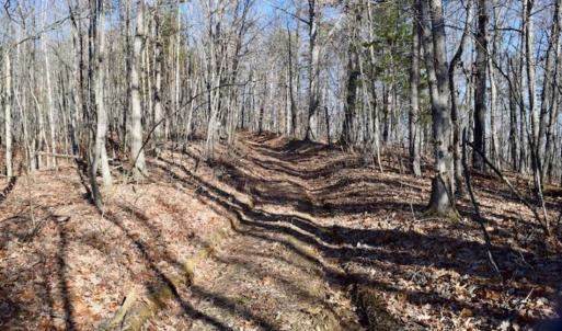 Photo of UNDER CONTRACT!!  68 Acres of Hunting and Recreational Land For Sale in Botetourt Co VA!